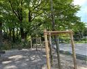 Außenanlage beim Neubau der Grundschule Zeesen