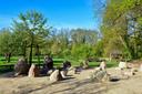 Steinkreis auf der Streuobstwiese im Tiergarten 