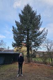 Lambert-Wolff vor dem gespendeten Baum seiner Oma Edith.