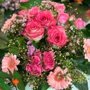 Blumenstrauß mit pinken Rosen und rosafarbenen Gerbera
