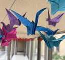 Origami-Kraniche im Rathaus
