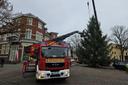 Weihnachtsbaum auf dem Brunnenplatz