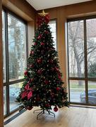 Weihnachtsbaum im Rathaussaal