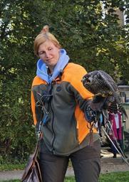 Jagdfeierlichkeiten FalknerVorfühung