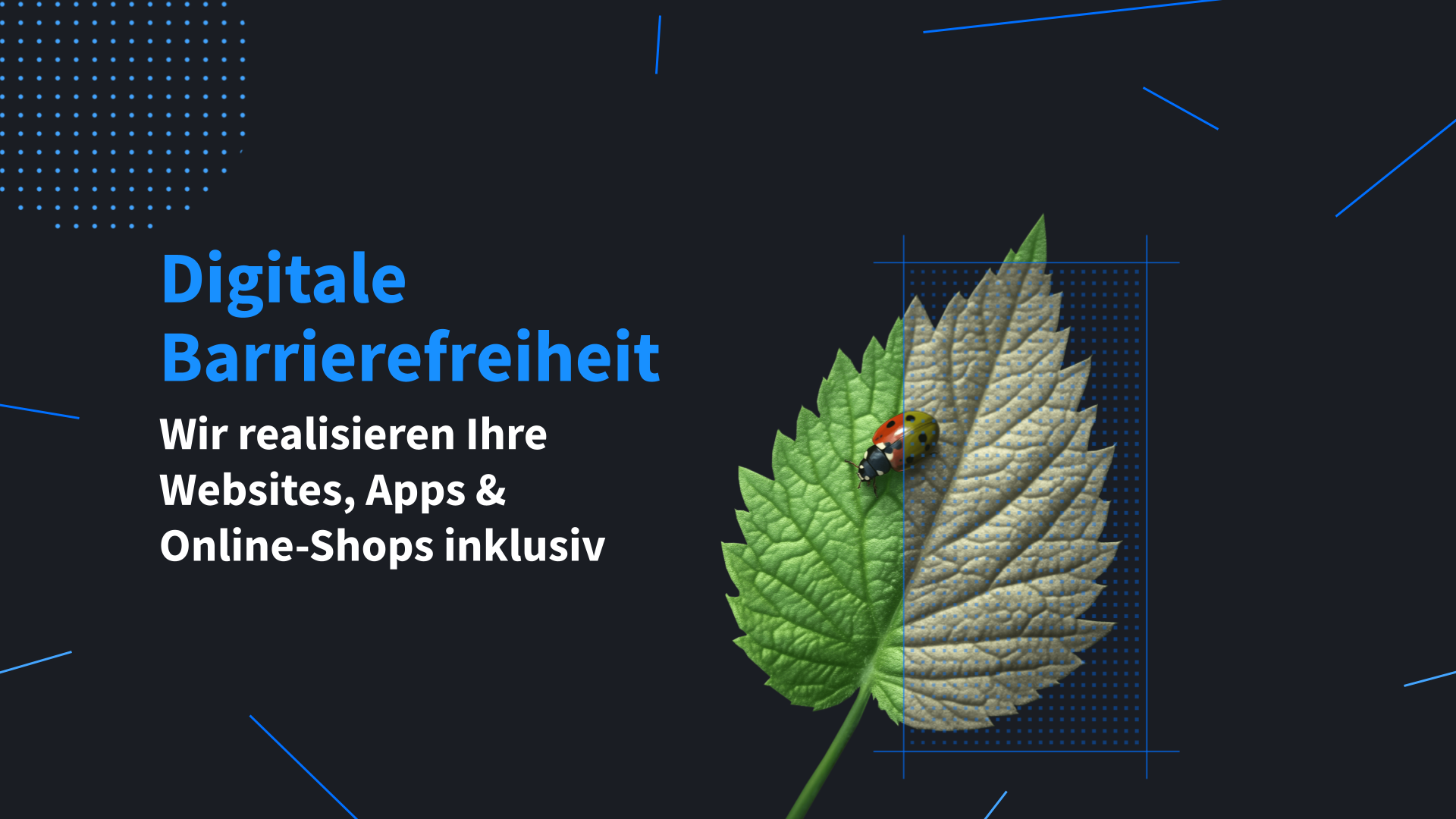 Barrierefreie Websites & Apps | click solutions