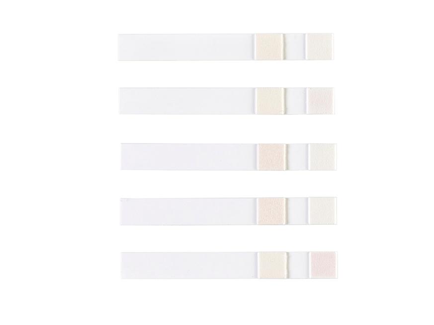 Clinistix UTI Kit strips overheads without background