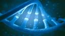 RT-PCR testing for SARS-CoV-2