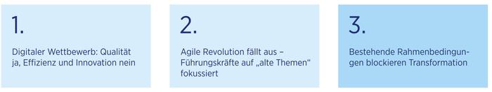 Hays Zwischen Effizienz und AgilitN t drei Ergebnisse